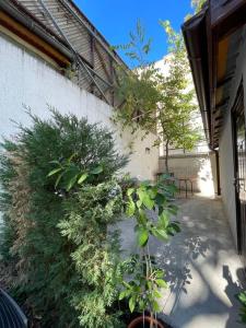 Victoriei Light&Comfort