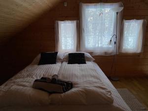 Merineitsi peamaja kahele saunaga