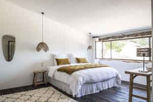 Maisons d'hotes Le Domaine du Castellas : photos des chambres