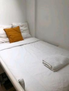 Sorbonne notre Dame Joli Nid Calme Clair type Cabine pied Notre Dame