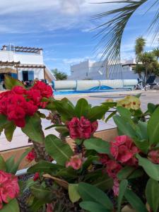 "Our Soleada" Villa cosy and flowery, heated pool