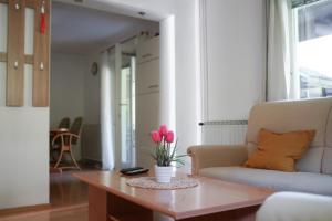 Sunset Apartments Bohinj