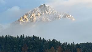 Das gemütliche Chalet im Bergdoktordorf Ellmau