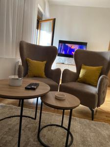 Little lion Zlatibor