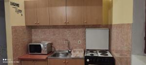 Apartment Ljilja 