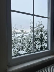 Kartalkaya Yolunda Chalet Keyif