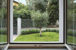 Florence Olive Grove