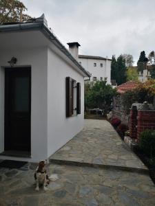 Effrosini Stonehouse center Portaria