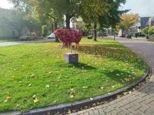 Confort Hengelo - 博尔讷