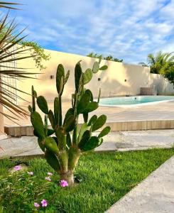 Casa Temporada Arembepe - Bahia