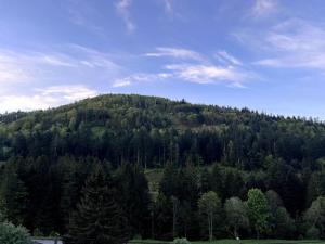 Le Balcon - La Bresse
