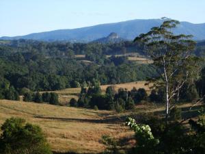 Grey Gum Lodge