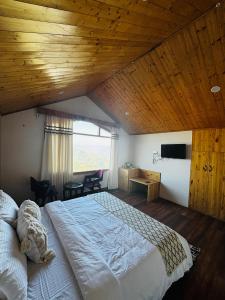 Hilly Horizon BnB Kufri