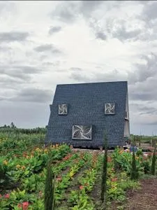 Nisarg farm villa - Ahmednagar