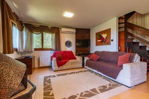 Rosa Residencial Gruner Berg