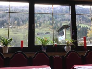 Guesthouse Mountain View