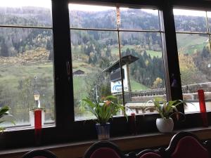 Guesthouse Mountain View
