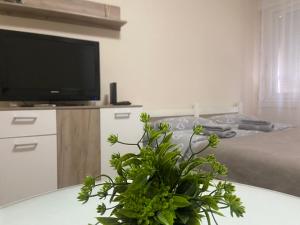 Apartman Lea - Apartmány, Paracin