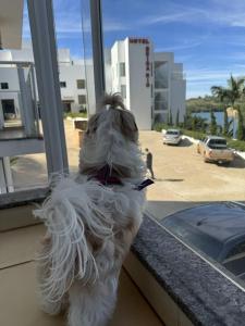 Hotel Beira Rio