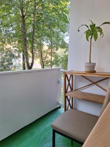 Debrecen apartment 55