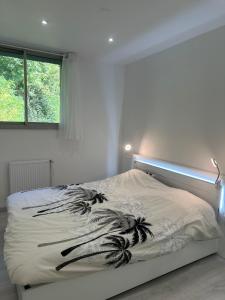 Appartements Sun beach : photos des chambres