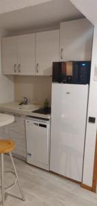 T2 Plagne Villages skis au pied 32m2 très bien équipé