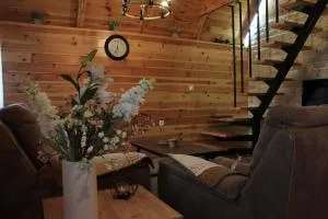 Vila Bella - (( Rta ))