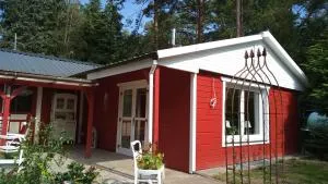 Wald-Elfe - Bannetze