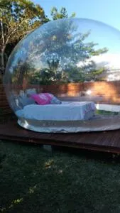 La BBO La Bulle by Baril O'thentik - Girofle