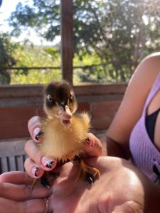 Pousada Fazendinha Beach Club Arraial do Cabo