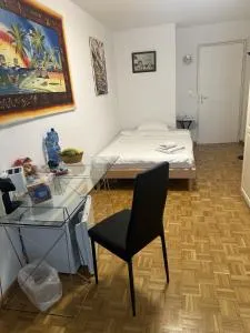 Schönes Zimmer in der City Basel - Arlesheim