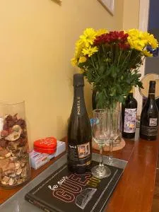 Comfy Apartment near Dublin Airport with FREE PARKING - Sutton