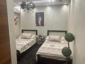 Luxury furnished apartment for daily rent