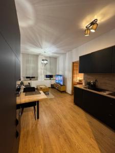 Apartment between the bridges