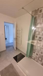Appartements Le Charmant T3 avec Jardin Prive : photos des chambres