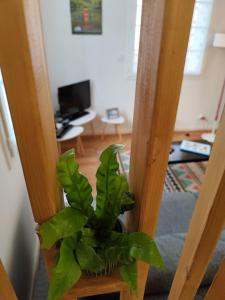 Proche gare et centre-ville de Poitiers Emplacement idéal