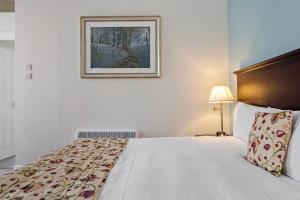 Sleeping Bear Hotels Dorchester