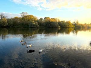 Villas Campagne & bords de Seine - Collection Idylliq : photos des chambres
