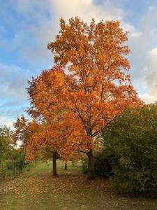 Villas Campagne & bords de Seine - Collection Idylliq : photos des chambres