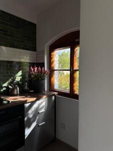 Ubytování ve vinném sklepě - Velké Bílovice