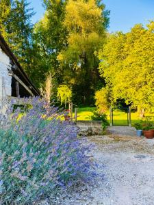 Maisons de vacances Gites Rue Du Chateau : photos des chambres