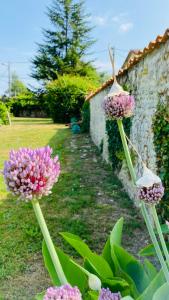 Maisons de vacances Gites Rue Du Chateau : photos des chambres