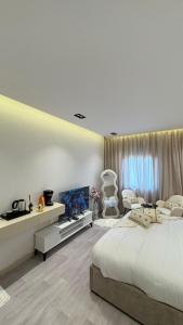 أستديو فاخر جديد