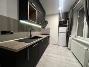 Apartment Trenčianske Teplice