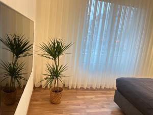 Zentrales Apartment Nähe Naschmarkt