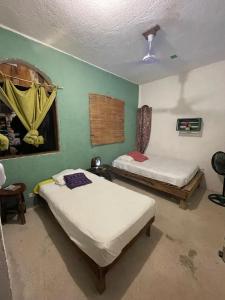 El árbol de la vida Hostel - Private Rooms Near Bacalar Lagoon