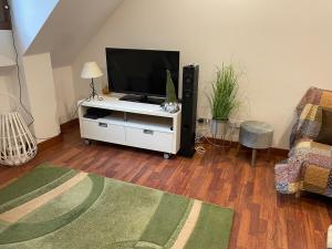 CALMFRANC ático abuhardillado con vistas al río y la montaña Avistamiento de ciervos en Canfranc Pueblo