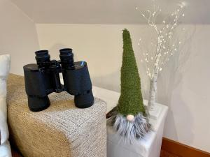 CALMFRANC ático abuhardillado con vistas al río y la montaña Avistamiento de ciervos en Canfranc Pueblo