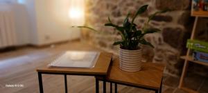 Maisons de vacances Gite Ar Kastell Aodren : photos des chambres