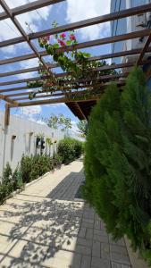 Pousada Vovó Haidê